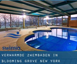 Verwarmde Zwembaden in Blooming Grove (New York)