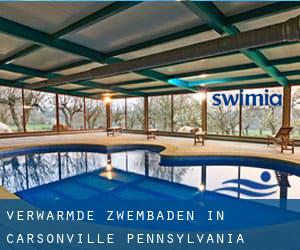 Verwarmde Zwembaden in Carsonville (Pennsylvania)