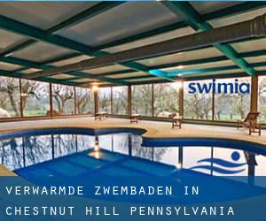 Verwarmde Zwembaden in Chestnut Hill (Pennsylvania)