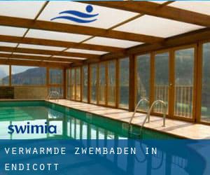 Verwarmde Zwembaden in Endicott