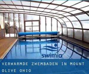 Verwarmde Zwembaden in Mount Olive (Ohio)