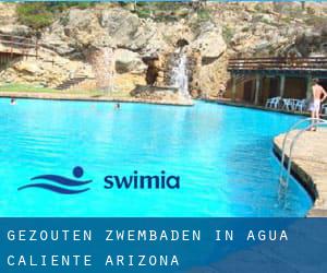 Gezouten Zwembaden in Agua Caliente (Arizona)