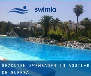 Gezouten Zwembaden in Aguilar de Bureba