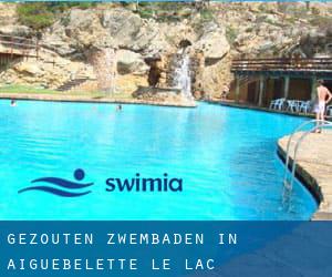 Gezouten Zwembaden in Aiguebelette-le-Lac