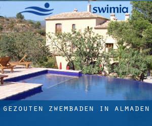 Gezouten Zwembaden in Almaden