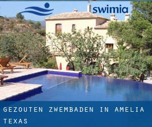 Gezouten Zwembaden in Amelia (Texas)