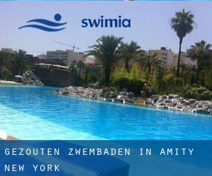 Gezouten Zwembaden in Amity (New York)