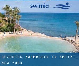 Gezouten Zwembaden in Amity (New York)