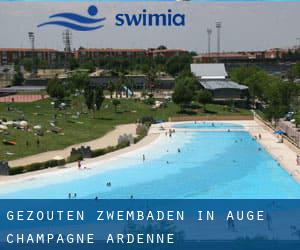 Gezouten Zwembaden in Auge (Champagne-Ardenne)