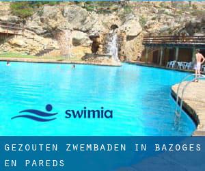 Gezouten Zwembaden in Bazoges en Pareds