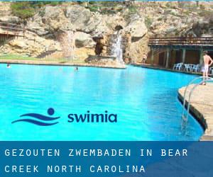 Gezouten Zwembaden in Bear Creek (North Carolina)