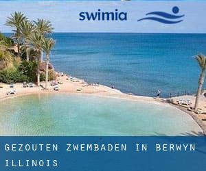 Gezouten Zwembaden in Berwyn (Illinois)