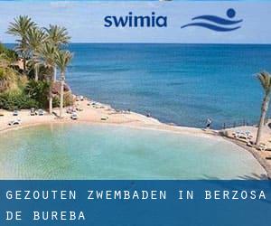 Gezouten Zwembaden in Berzosa de Bureba