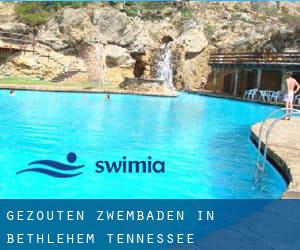 Gezouten Zwembaden in Bethlehem (Tennessee)