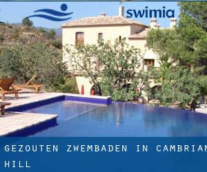 Gezouten Zwembaden in Cambrian Hill