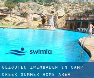 Gezouten Zwembaden in Camp Creek Summer Home Area