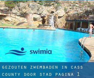 Gezouten Zwembaden in Cass County door Stad - pagina 1