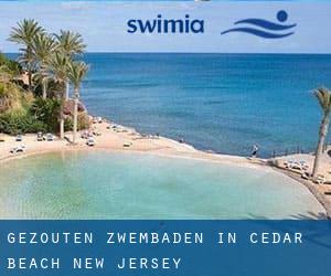 Gezouten Zwembaden in Cedar Beach (New Jersey)