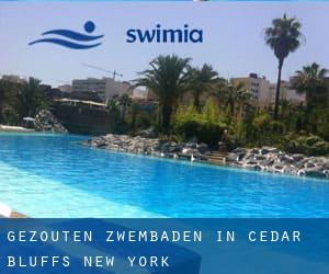 Gezouten Zwembaden in Cedar Bluffs (New York)