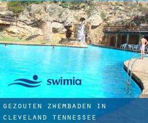 Gezouten Zwembaden in Cleveland (Tennessee)