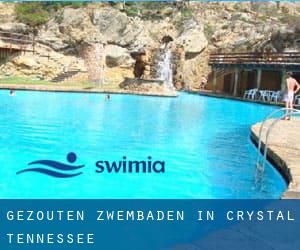 Gezouten Zwembaden in Crystal (Tennessee)