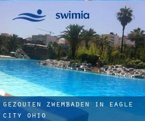 Gezouten Zwembaden in Eagle City (Ohio)