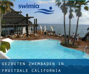 Gezouten Zwembaden in Fruitdale (California)