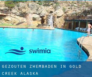 Gezouten Zwembaden in Gold Creek (Alaska)