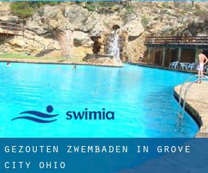 Gezouten Zwembaden in Grove City (Ohio)