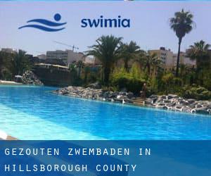 Gezouten Zwembaden in Hillsborough County