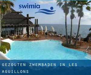 Gezouten Zwembaden in Les Aguillons