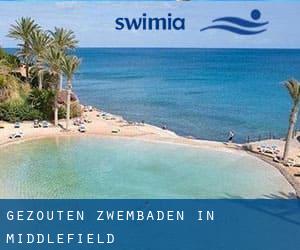 Gezouten Zwembaden in Middlefield