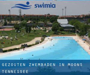 Gezouten Zwembaden in Moons (Tennessee)