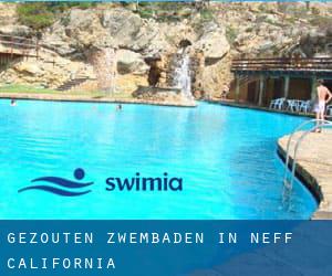 Gezouten Zwembaden in Neff (California)