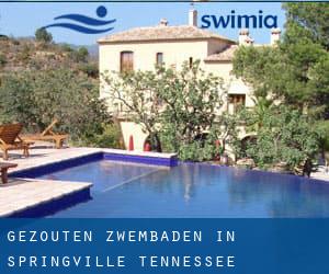 Gezouten Zwembaden in Springville (Tennessee)