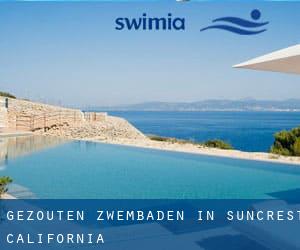 Gezouten Zwembaden in Suncrest (California)