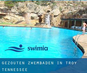 Gezouten Zwembaden in Troy (Tennessee)