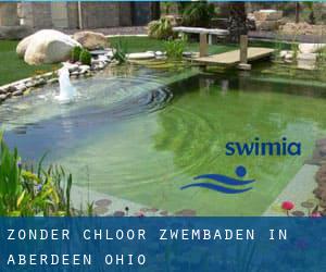 Zonder chloor Zwembaden in Aberdeen (Ohio)