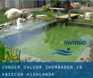 Zonder chloor Zwembaden in Absecon Highlands