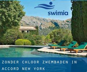 Zonder chloor Zwembaden in Accord (New York)