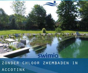 Zonder chloor Zwembaden in Accotink