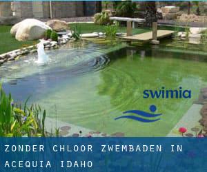 Zonder chloor Zwembaden in Acequia (Idaho)