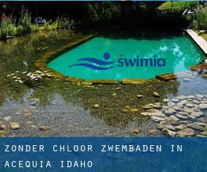 Zonder chloor Zwembaden in Acequia (Idaho)