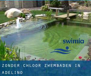 Zonder chloor Zwembaden in Adelino