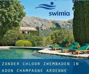 Zonder chloor Zwembaden in Adon (Champagne-Ardenne)