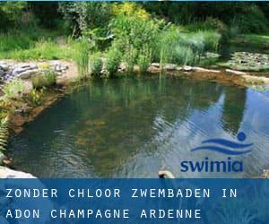 Zonder chloor Zwembaden in Adon (Champagne-Ardenne)