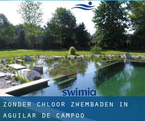 Zonder chloor Zwembaden in Aguilar de Campóo