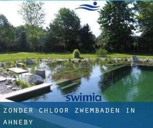 Zonder chloor Zwembaden in Ahneby