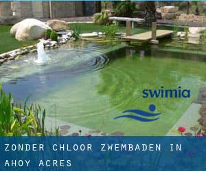 Zonder chloor Zwembaden in Ahoy Acres