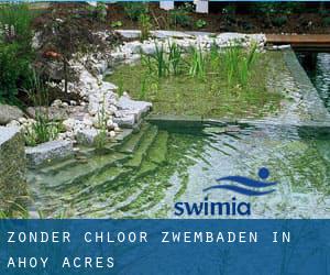 Zonder chloor Zwembaden in Ahoy Acres